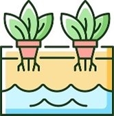 Hydroponics