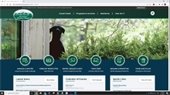 Town website